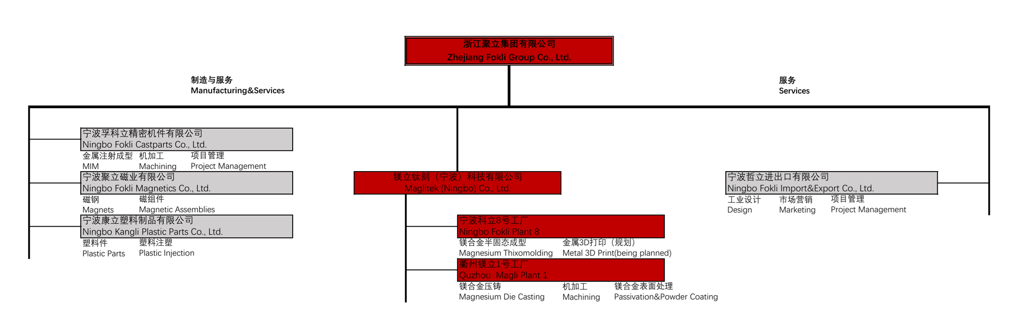Fokli Group Organization Structure